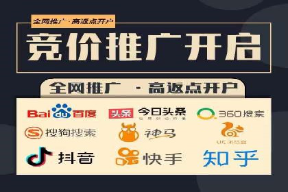 网络推广与竞价优化成功案例
